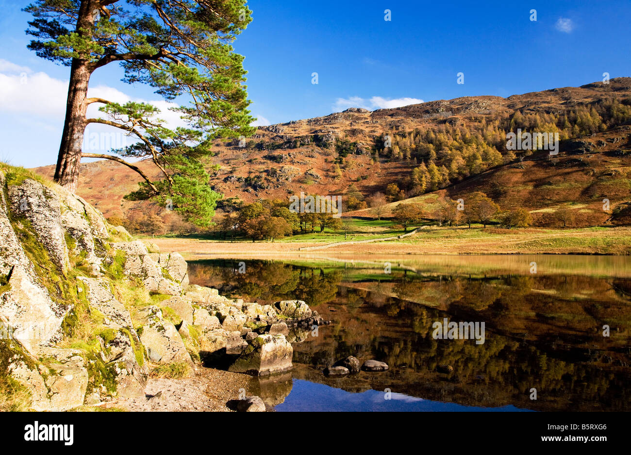 Blea Tarn on a sunny autumn day, Lake District National Park, Cumbria, England, UK Stock Photo