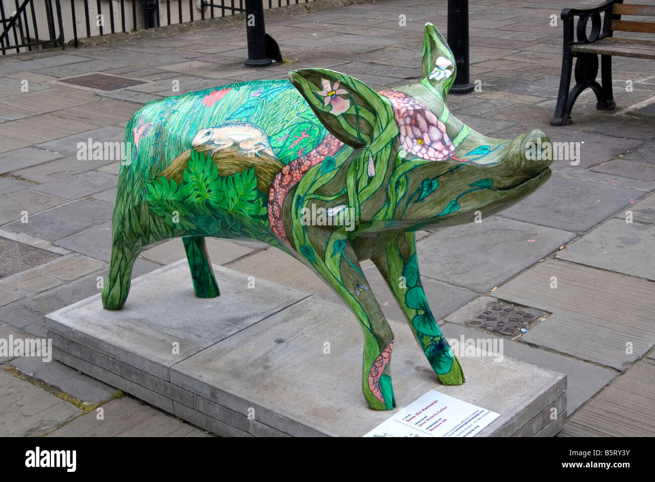 Painted pig sculpture is a part of the public art event King Bladud s