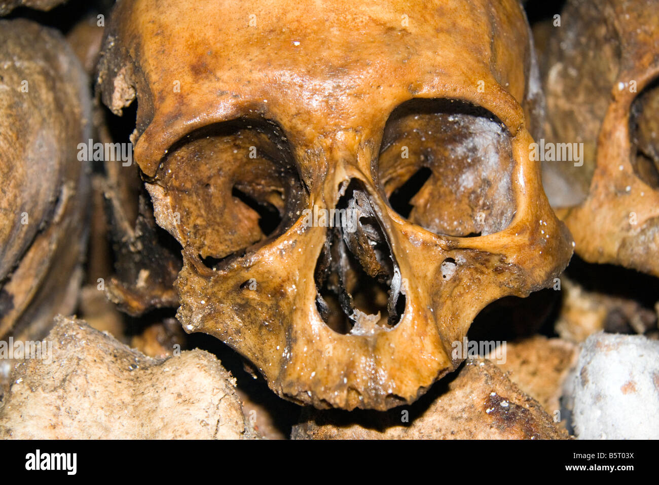 One of the many skulls and bones in the catacombs, paris, france Stock Photo