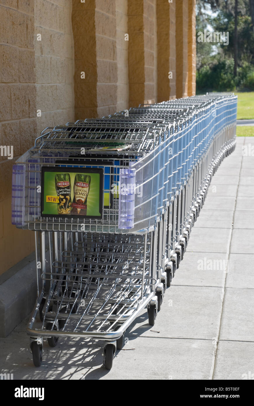 line up of shopping carts in front of grocery store Stock Photo Alamy
