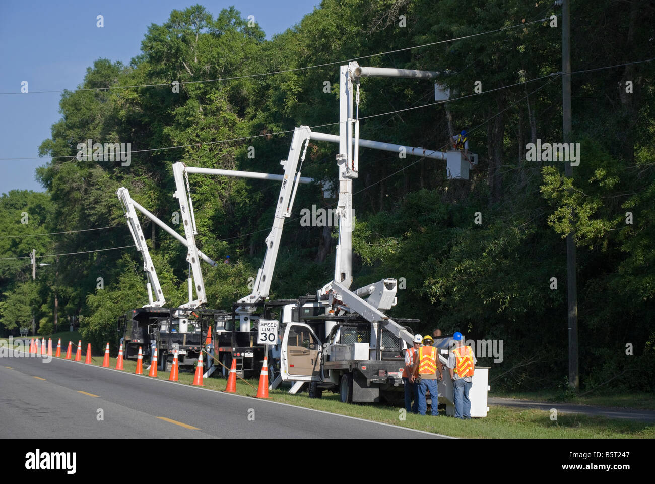 line up of bucket trucks for trimming trees along highway North Florida Stock Photo Alamy