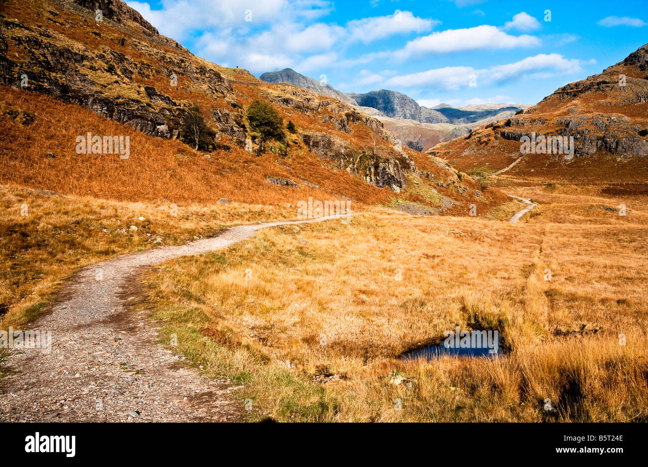 Autumn landscape with bracken covered hillsideand path in the Lake District National Park, Cumbria, England, UK Stock Photo