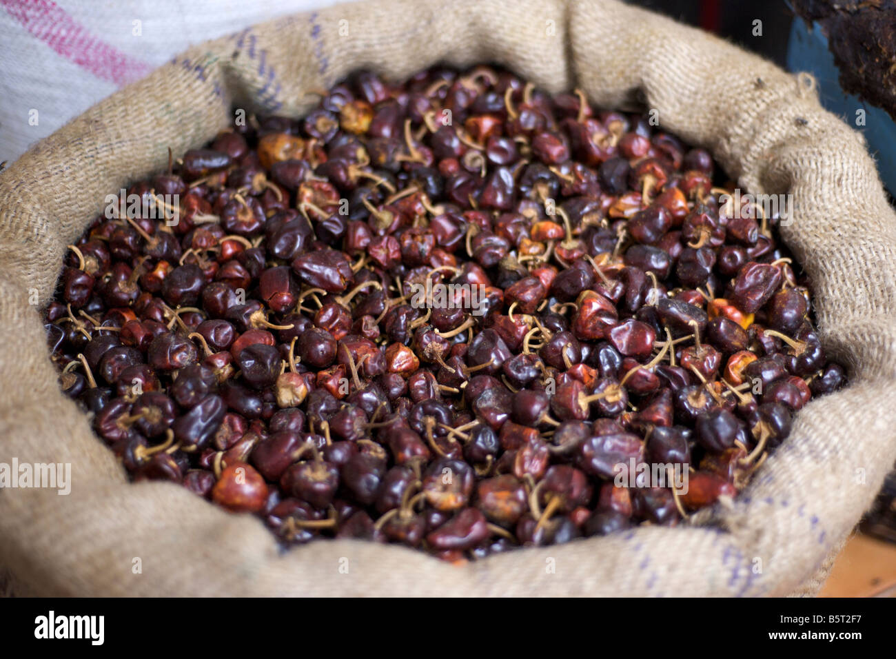 Dried red chillies at a market in Pondicherry India. Stock Photo