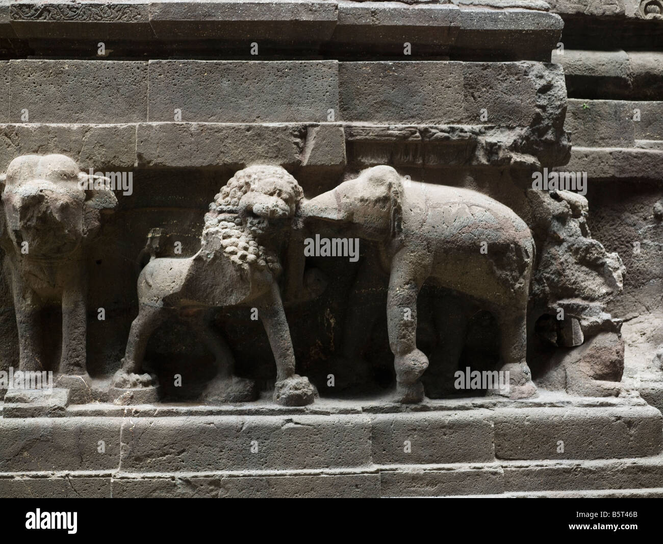Kailasanatha Temple carved from basalt monolith Ellora Caves India frieze elephant and lion fighting Stock Photo