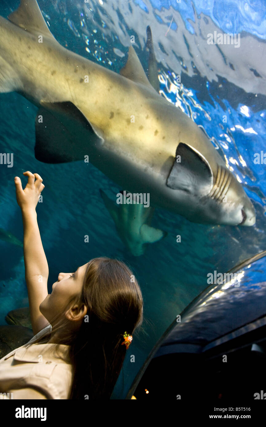 South Africa Cape Town the two oceans aquarium at the waterfront Stock