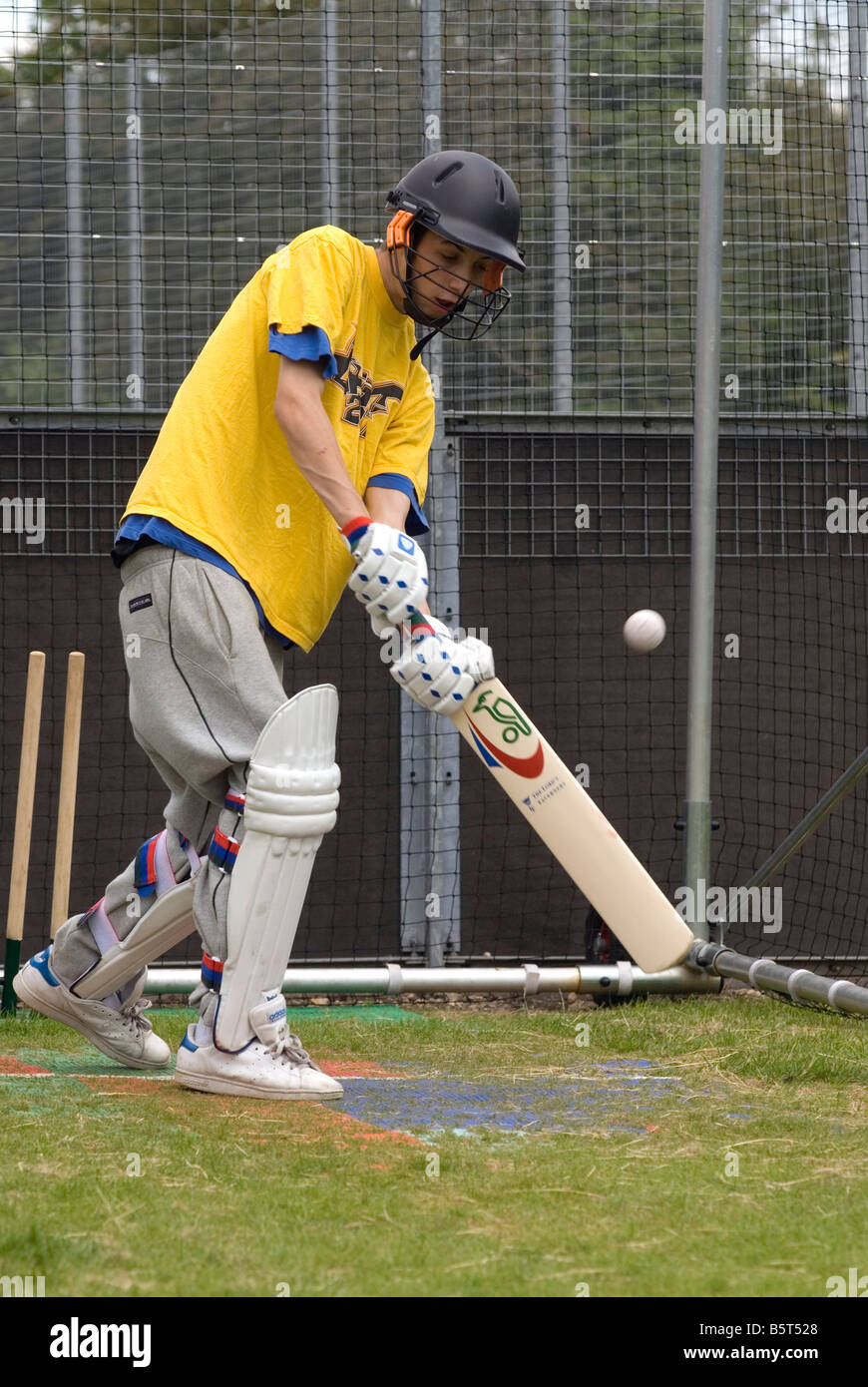 School pupil practicing his batting in nets, London UK Stock Photo Alamy