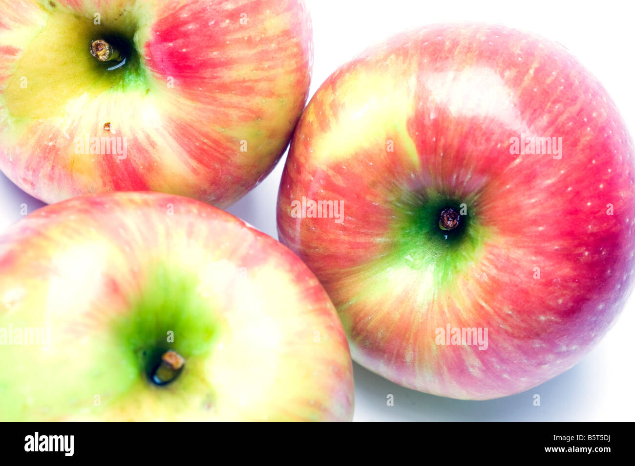 honeycrisp variety of apples crisp juicy and sweet a cross between