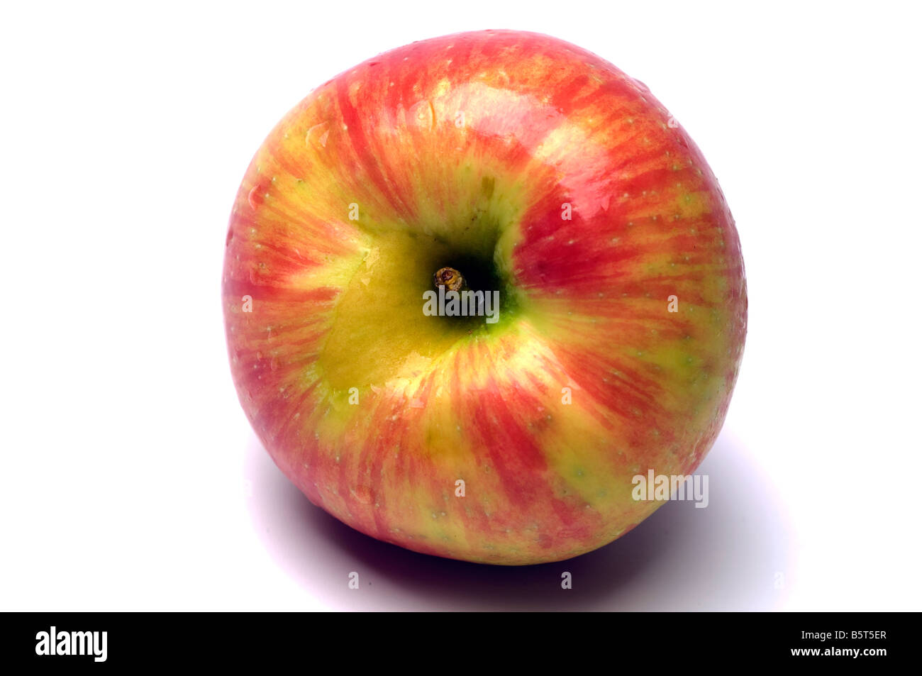 honeycrisp variety of apples crisp juicy and sweet a cross between