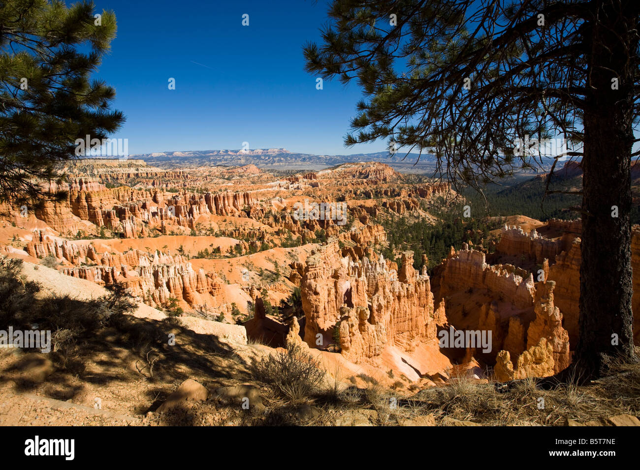 Bryce Canyon National Park Utah Stock Photo