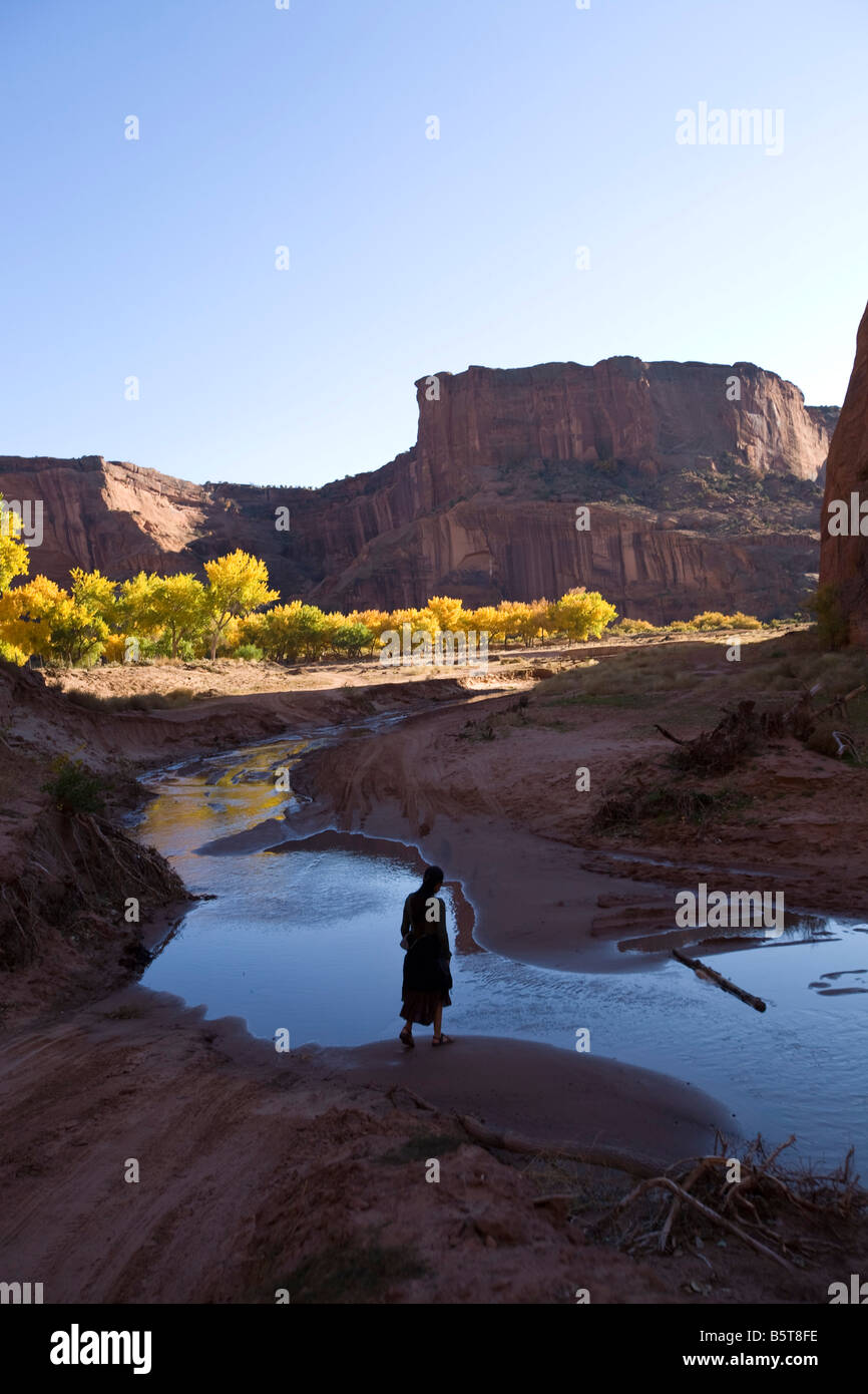 White House, Canyon de Chelly Navajo Reservation Arizona Stock Photo