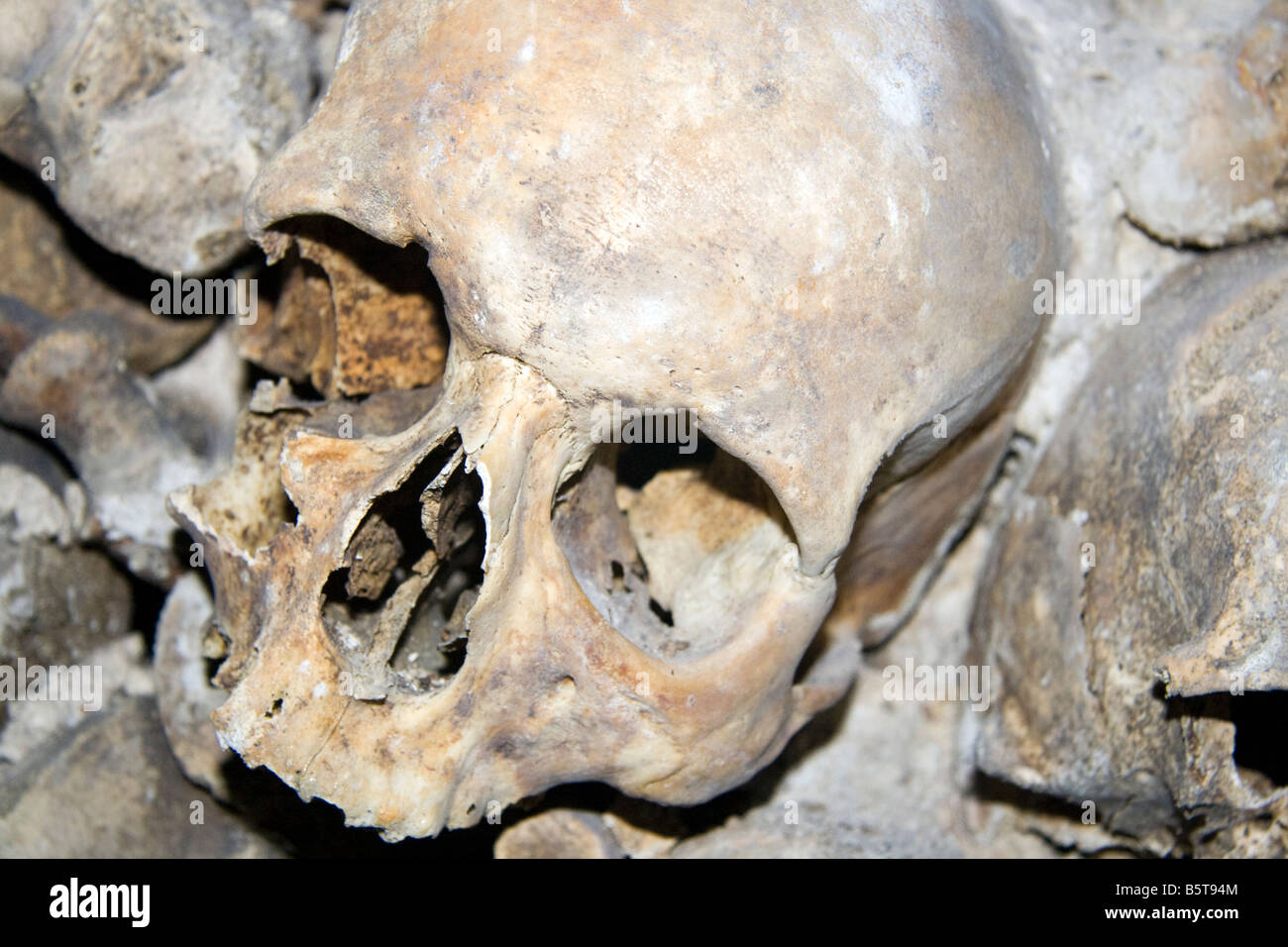 One of the many skulls and bones in the catacombs, paris, france Stock Photo