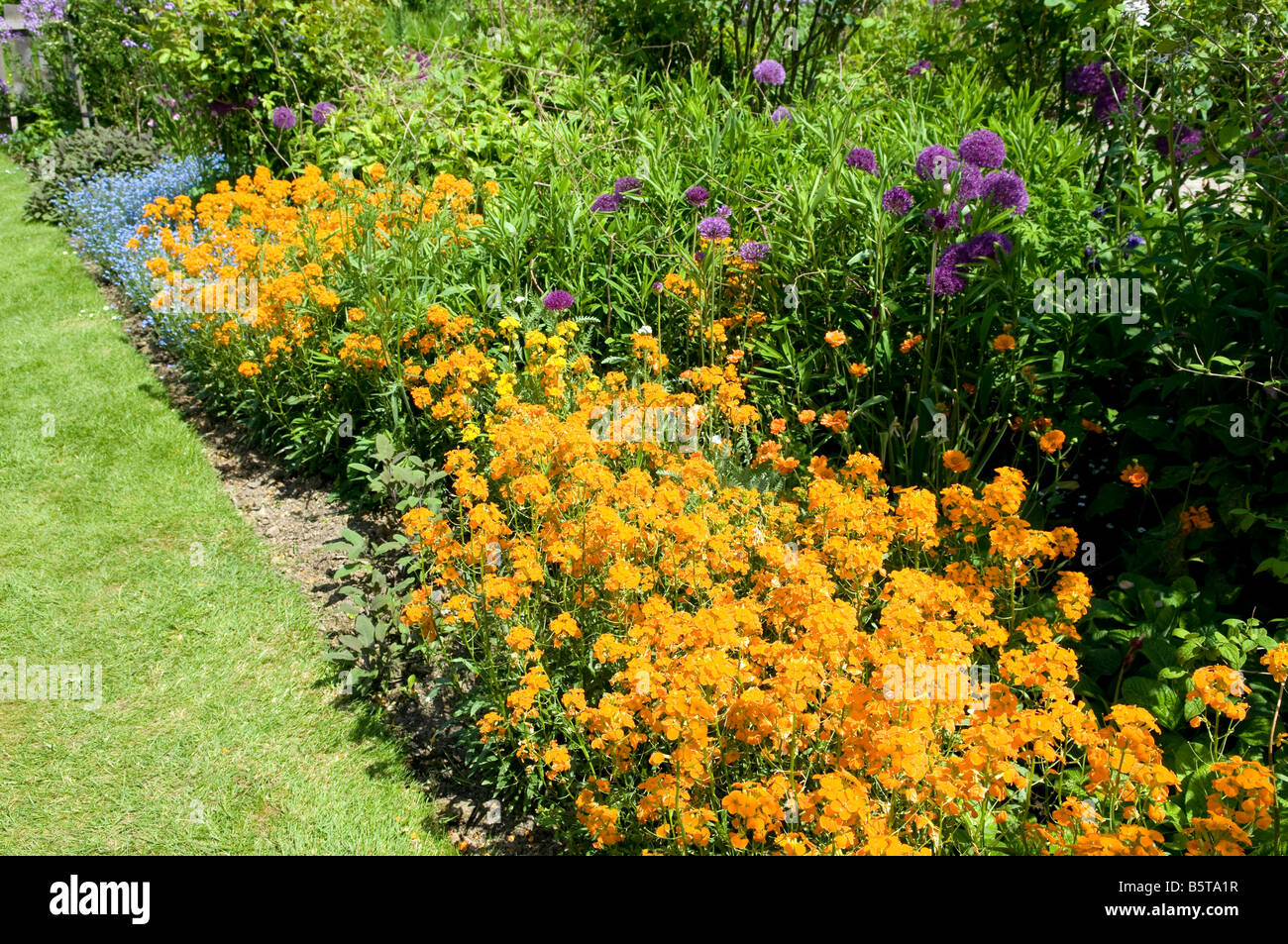 Border cottage colour hi-res stock photography and images - Alamy