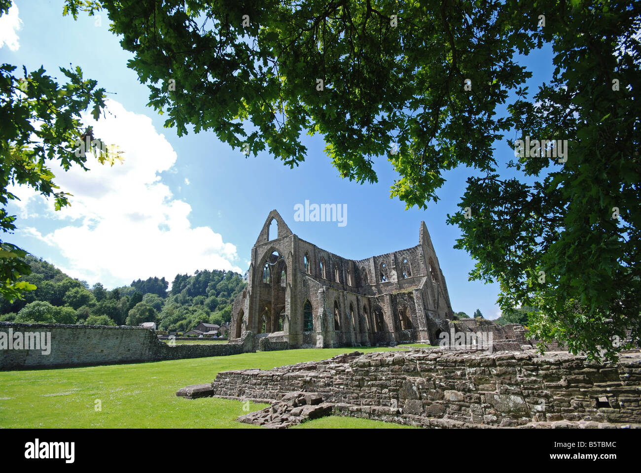 Ruins of Tintern Abbey founded by the Cistercian monks, laying in the Angiddy valley at the side of the River Wye Stock Photo