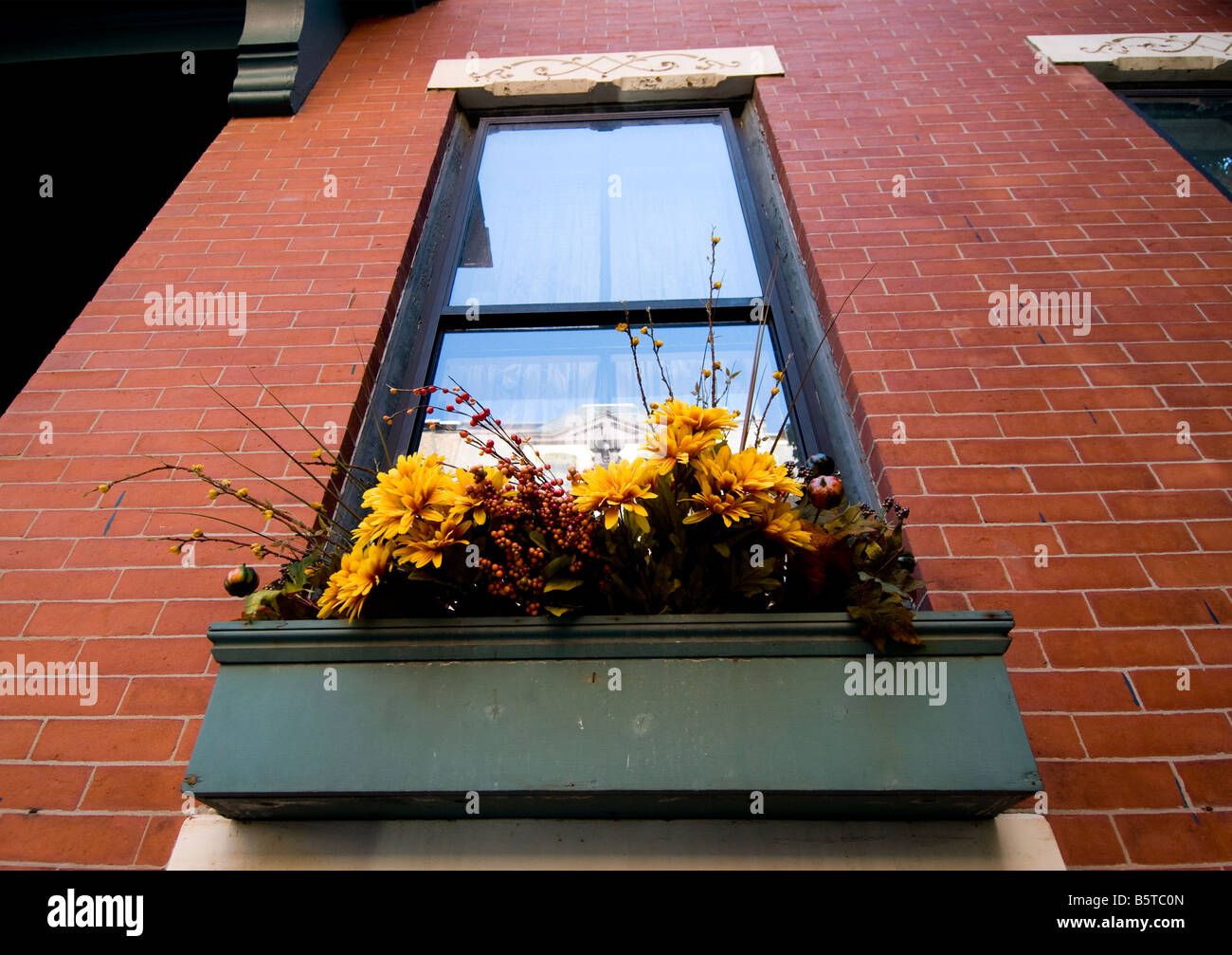 Flower box on windowsill, Bunker Hill, Boston, New England USA Stock Photo