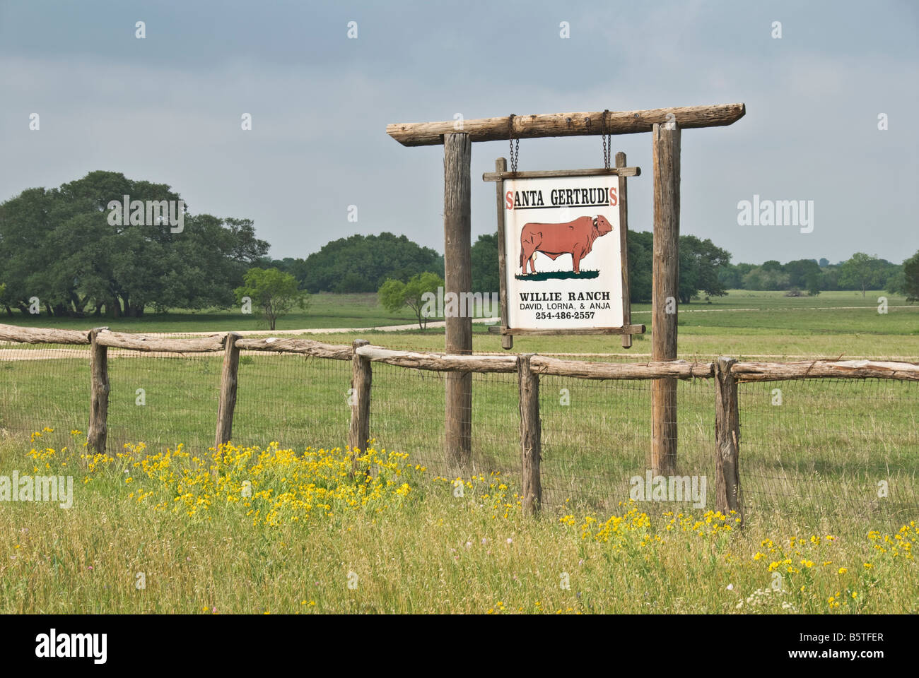 Texas Crawford ranch sign featuring Santa Gertrudis cattle Stock Photo ...