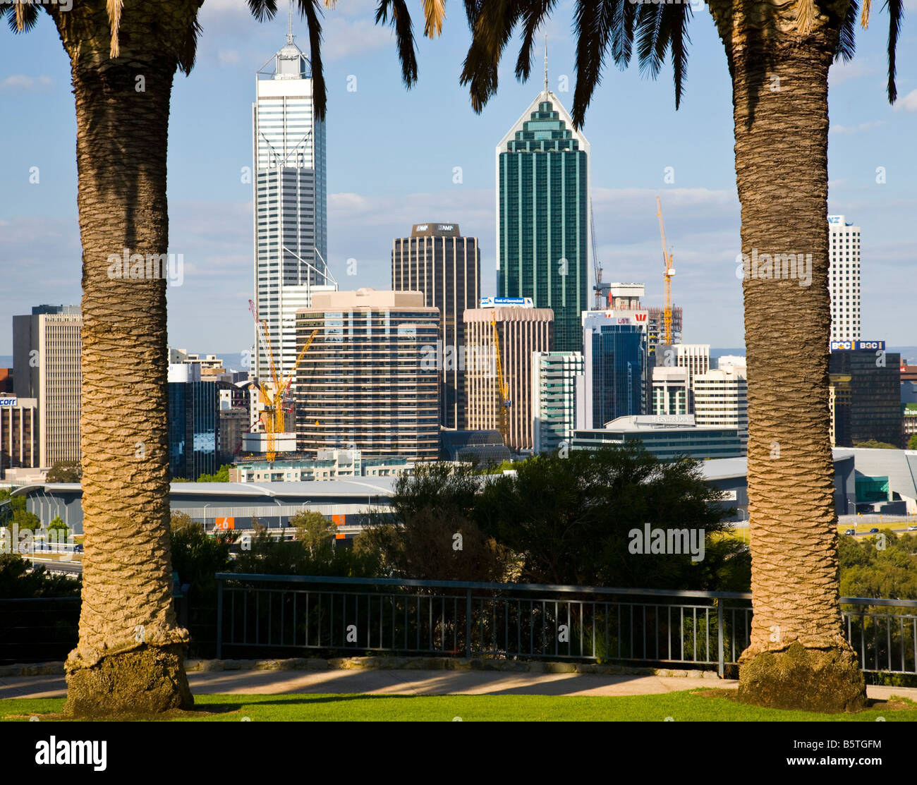 Looking though trees in Kings Park at the Central Business District ...