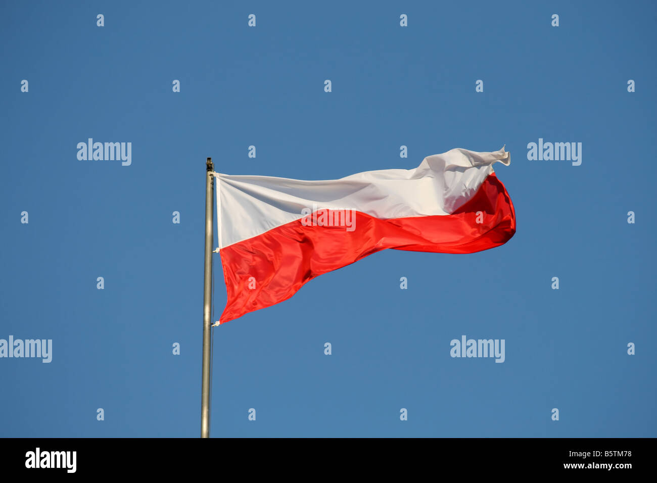 Polish flag on the wind yellow stars Stock Photo