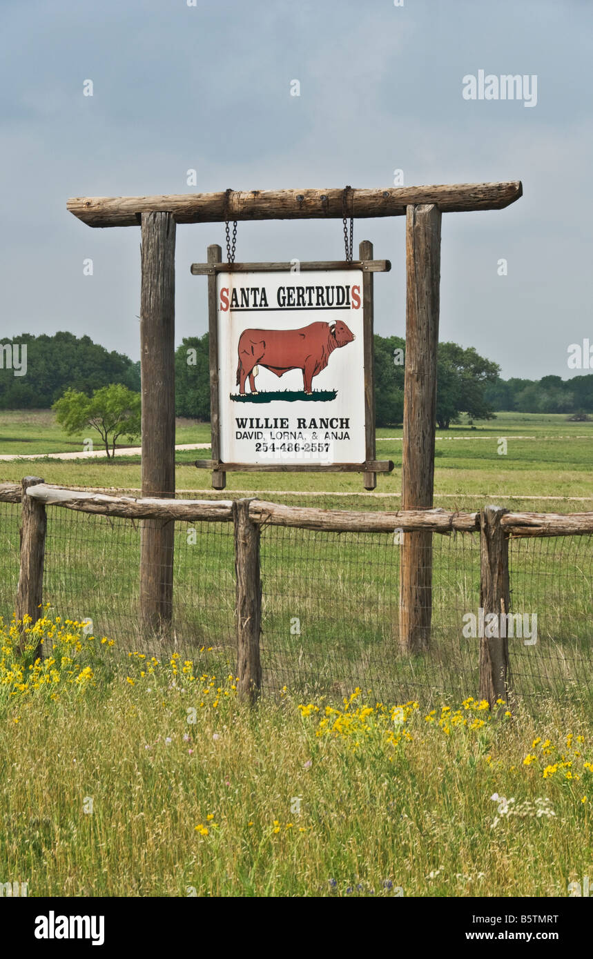 Texas Crawford ranch sign featuring Santa Gertrudis cattle Stock Photo