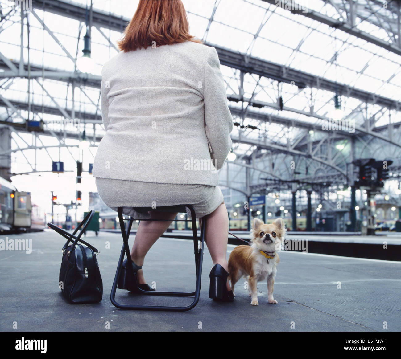 a colour color picture of an overweight woman sitting on a fold out stool in a railway station with her chihuahua toy dog Stock Photo