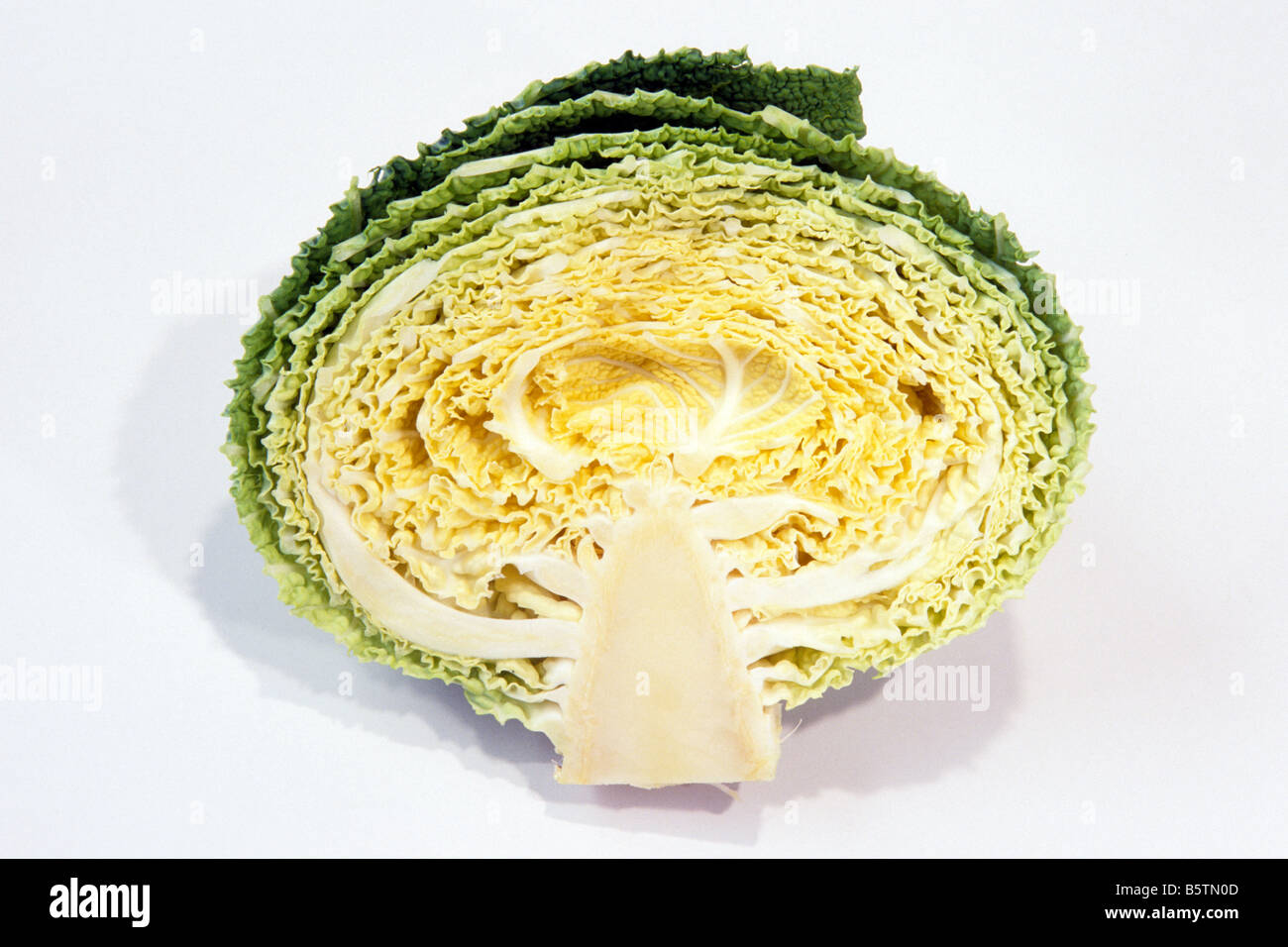 Savoy cabbage (Brassica oleracea convar. capitata var. sabauda), cut in half, studio picture Stock Photo