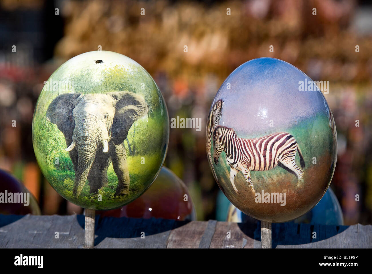 Painted ostrich eggs hires stock photography and images Alamy