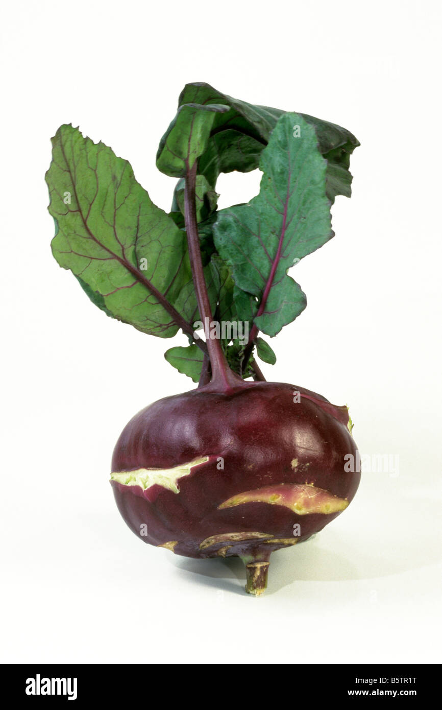 Kohlrabi, German Turnip (Brassica oleracea convar. acephala var. gongylodes), studio picture Stock Photo