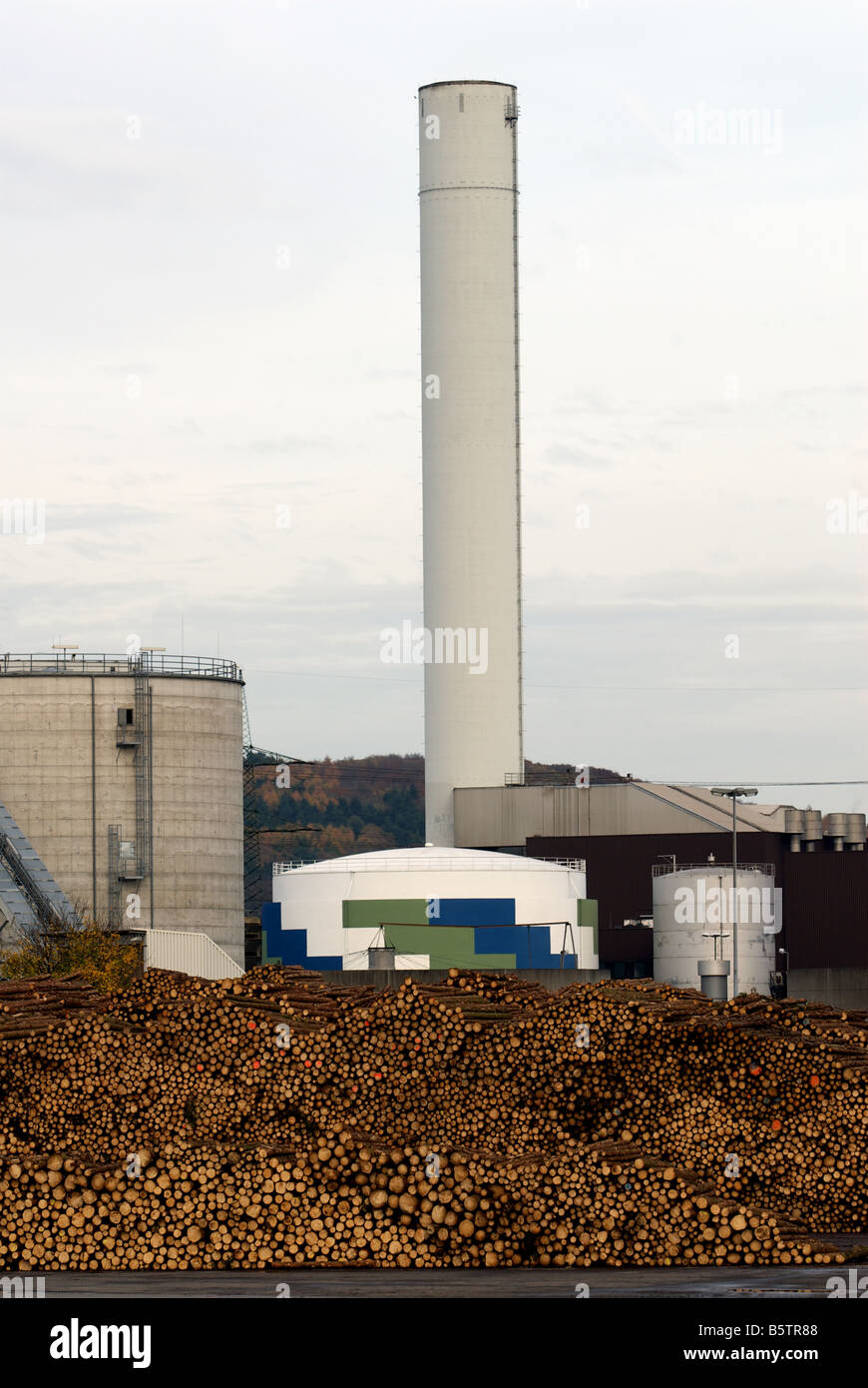 Biomass and natural gas steam turbine power stations, Hagen-Kabel near Dortmund, North Rhine-Westphalia, Germany. Stock Photo