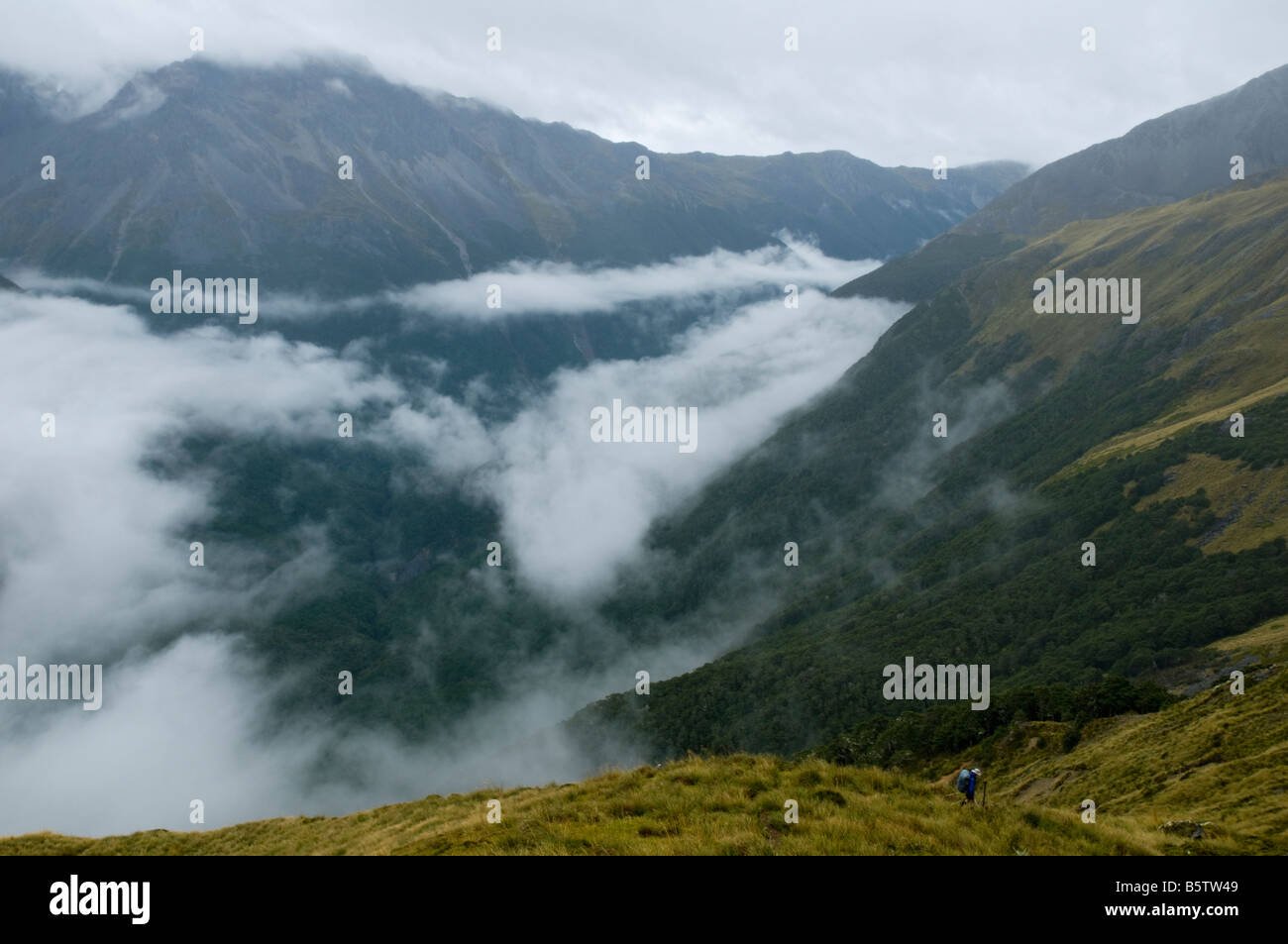 The Sabine Valley from the Travers Saddle, Travers Sabine track, Nelson Lakes National Park, South Island, New Zealand Stock Photo