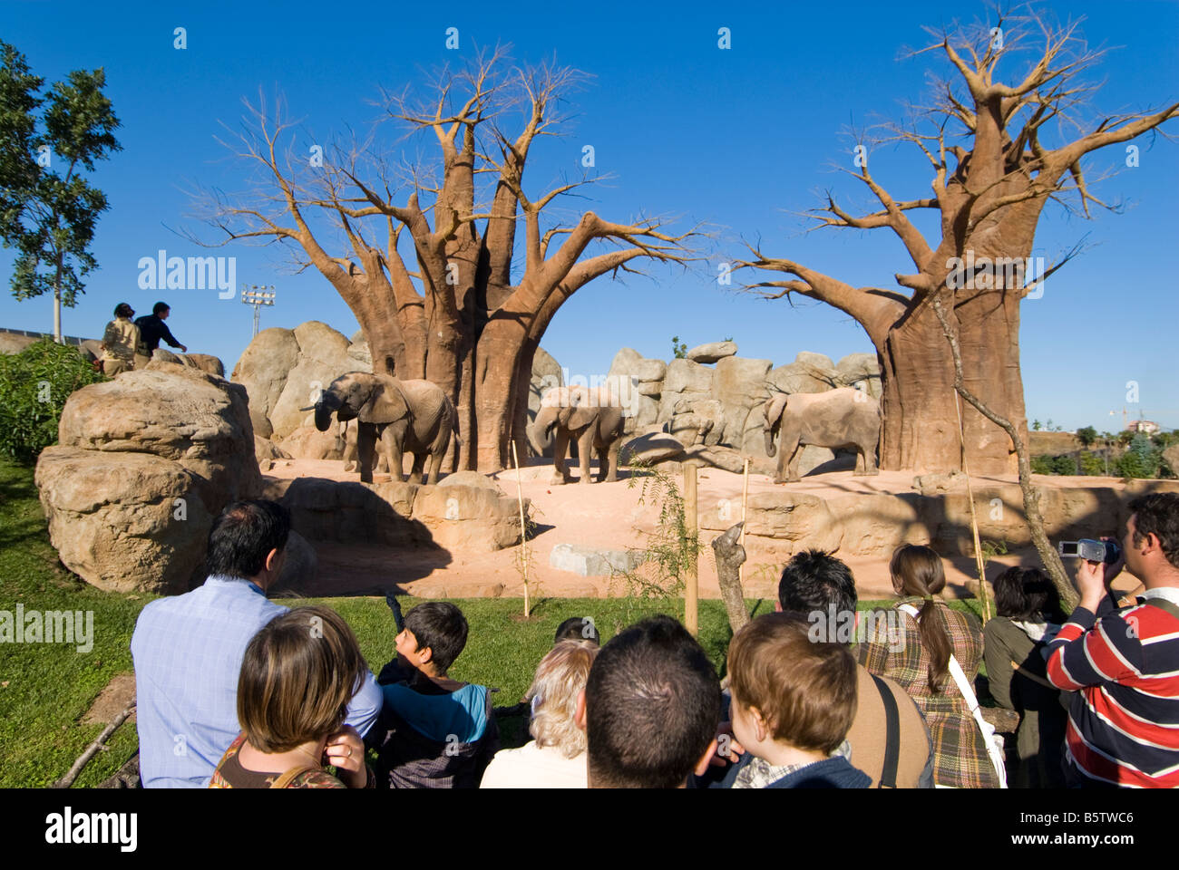 People looking at elephants in enclosure inside the Biopark zoo which opened in the city of Valencia in 2008 Stock Photo