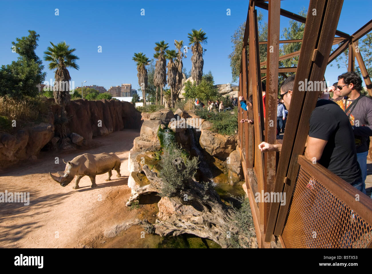 People looking at rhinoceros in enclosure from iron bridge platform in the Biopark zoo which opened in 2008 Valencia Spain Stock Photo