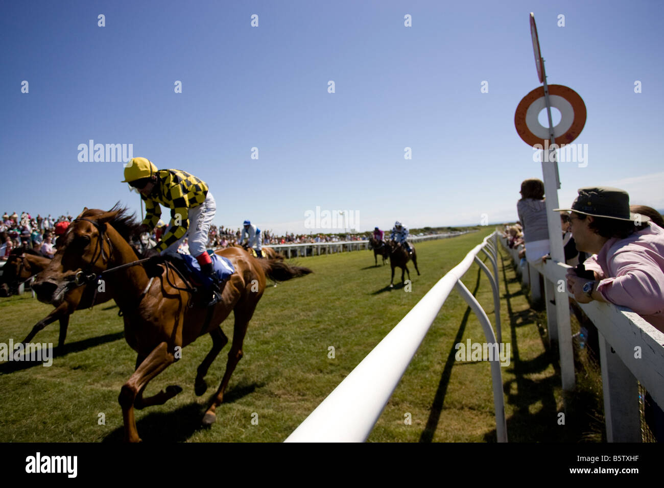 Racing Club - Horse Ownership in Alberta