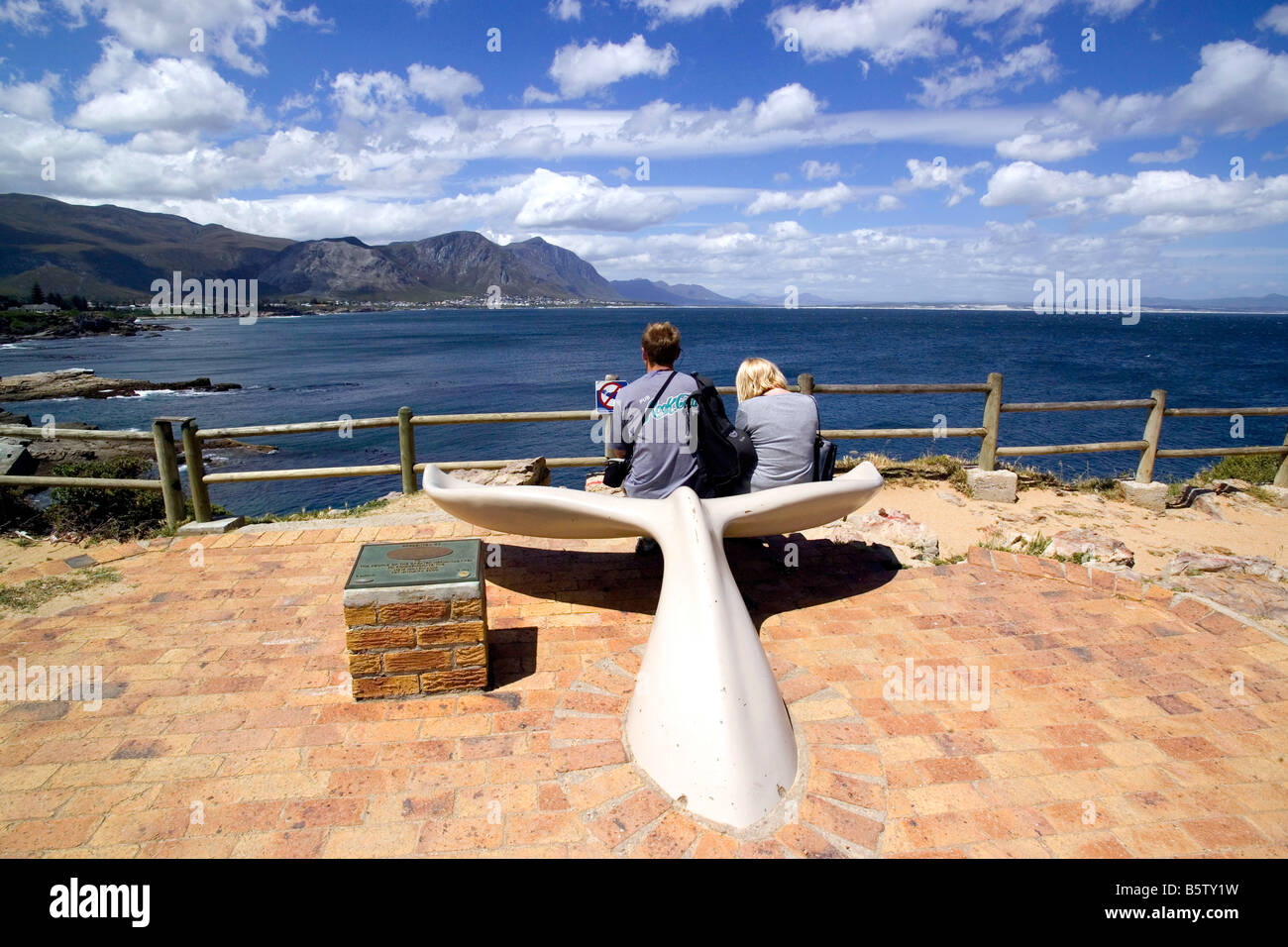 Whale watching  Hermanus  Walker Bay  South Africa  Africa Stock Photo