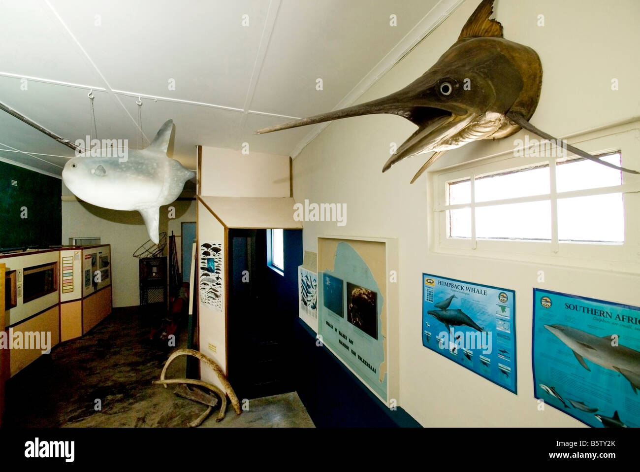 Fishing Museum  Hermanus  Walker Bay  South Africa  Africa Stock Photo