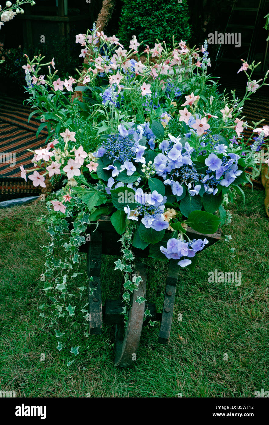 A decorative planted wheelbarrow Stock Photo