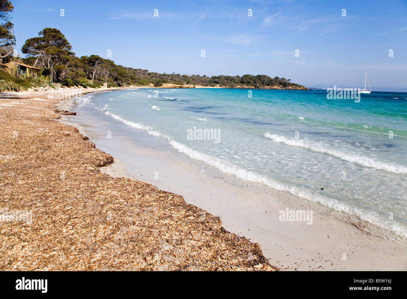 Porquerolles island  Port-Cros national park  Hyï¿½res  France  Europe Stock Photo