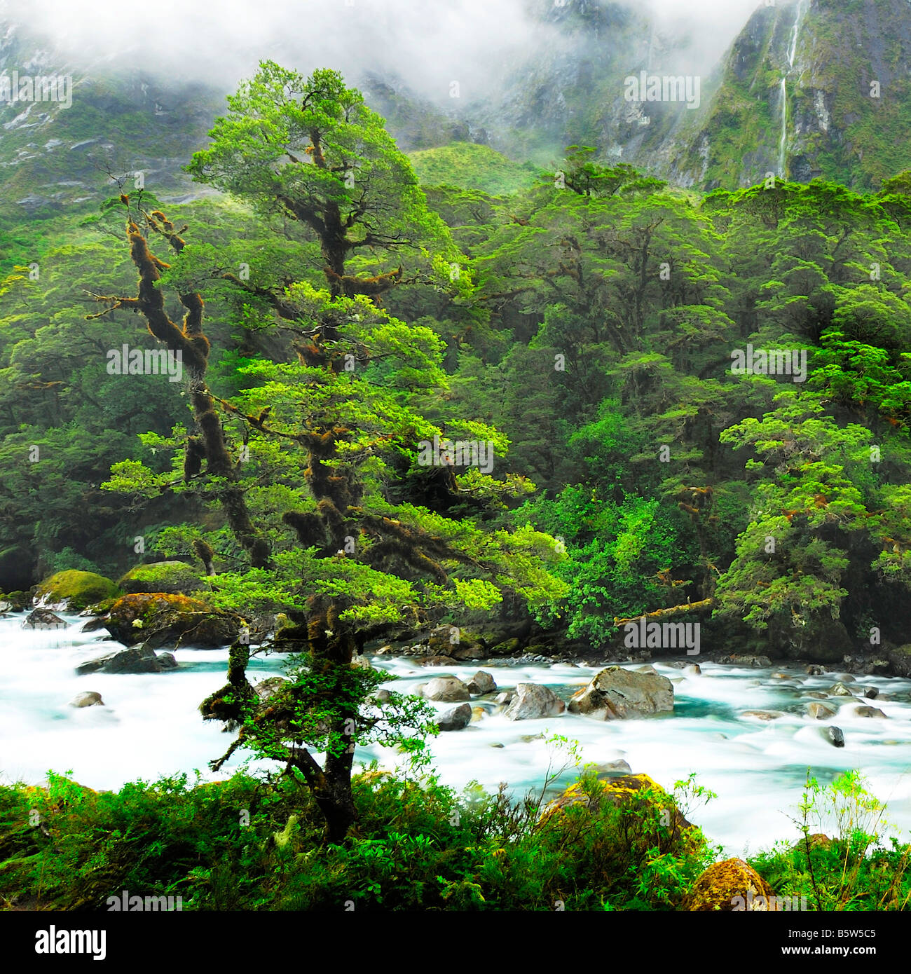 My Image 24