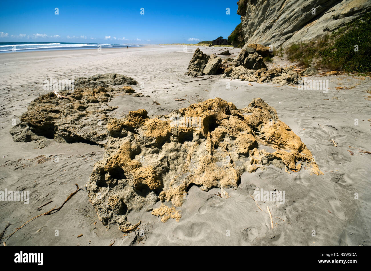 At Fossil Point, near Cape Farewell, South Island, New Zealand Stock Photo  - Alamy
