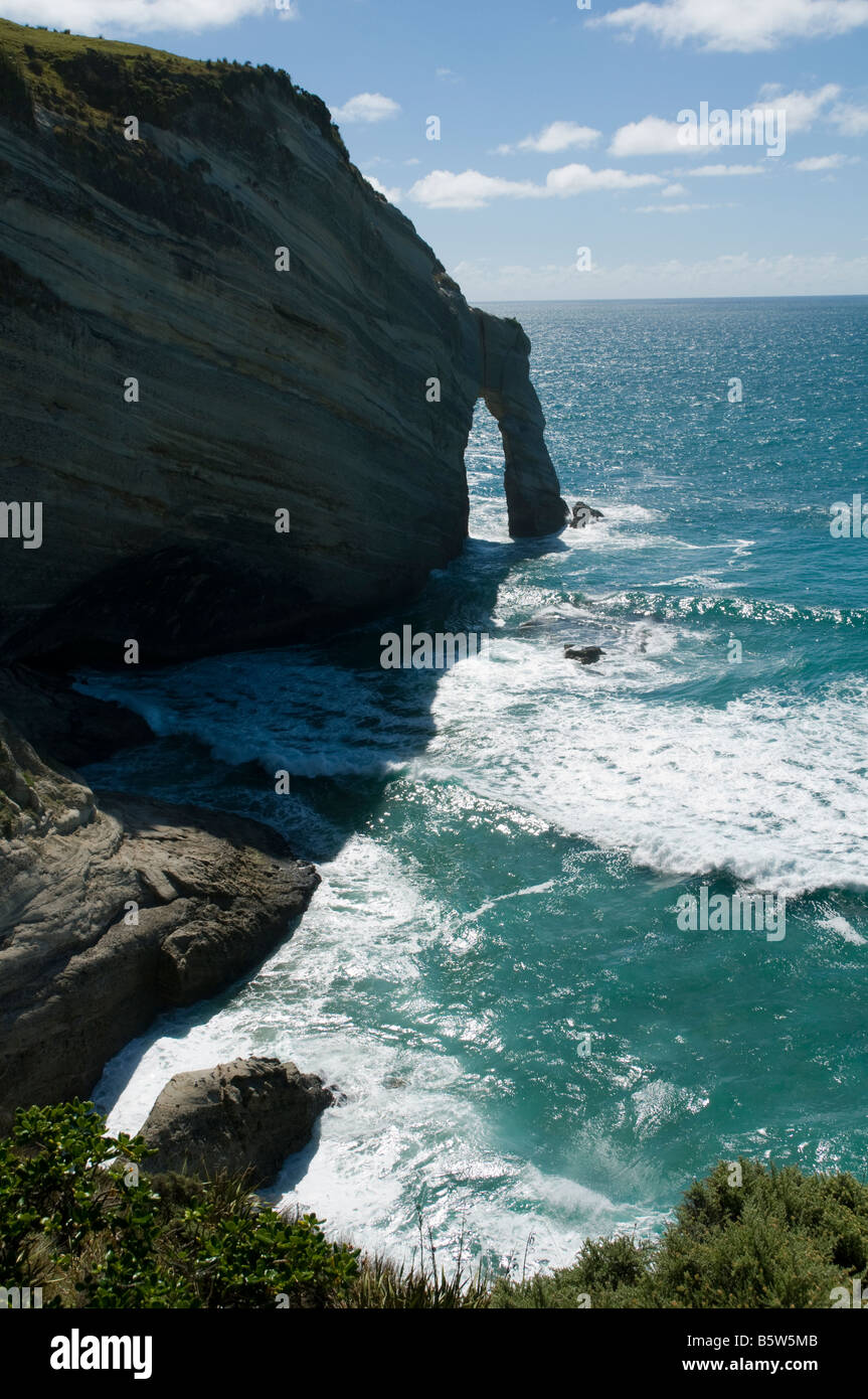 Cape Farewell, the most northerly point of the South Island, New Zealand  Stock Photo - Alamy