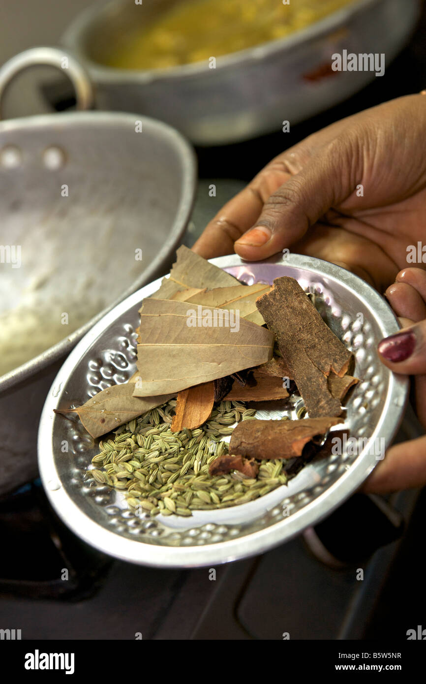 Whole spices for an Indian meat stew. Stock Photo