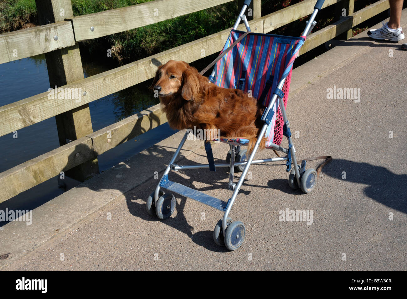 childs push chair
