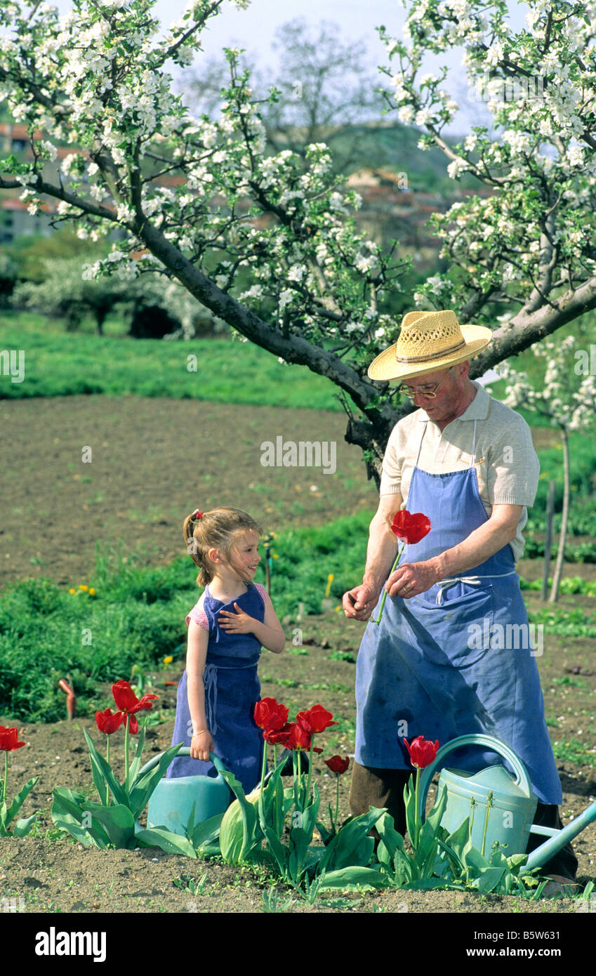 Grandfather gardening with his granddaughter Stock Photo