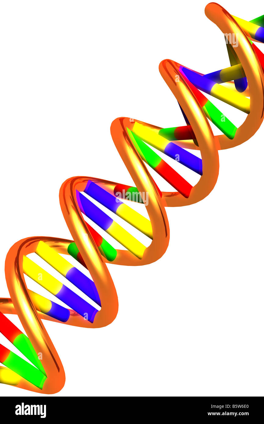 Double helix dna single hi-res stock photography and images - Alamy