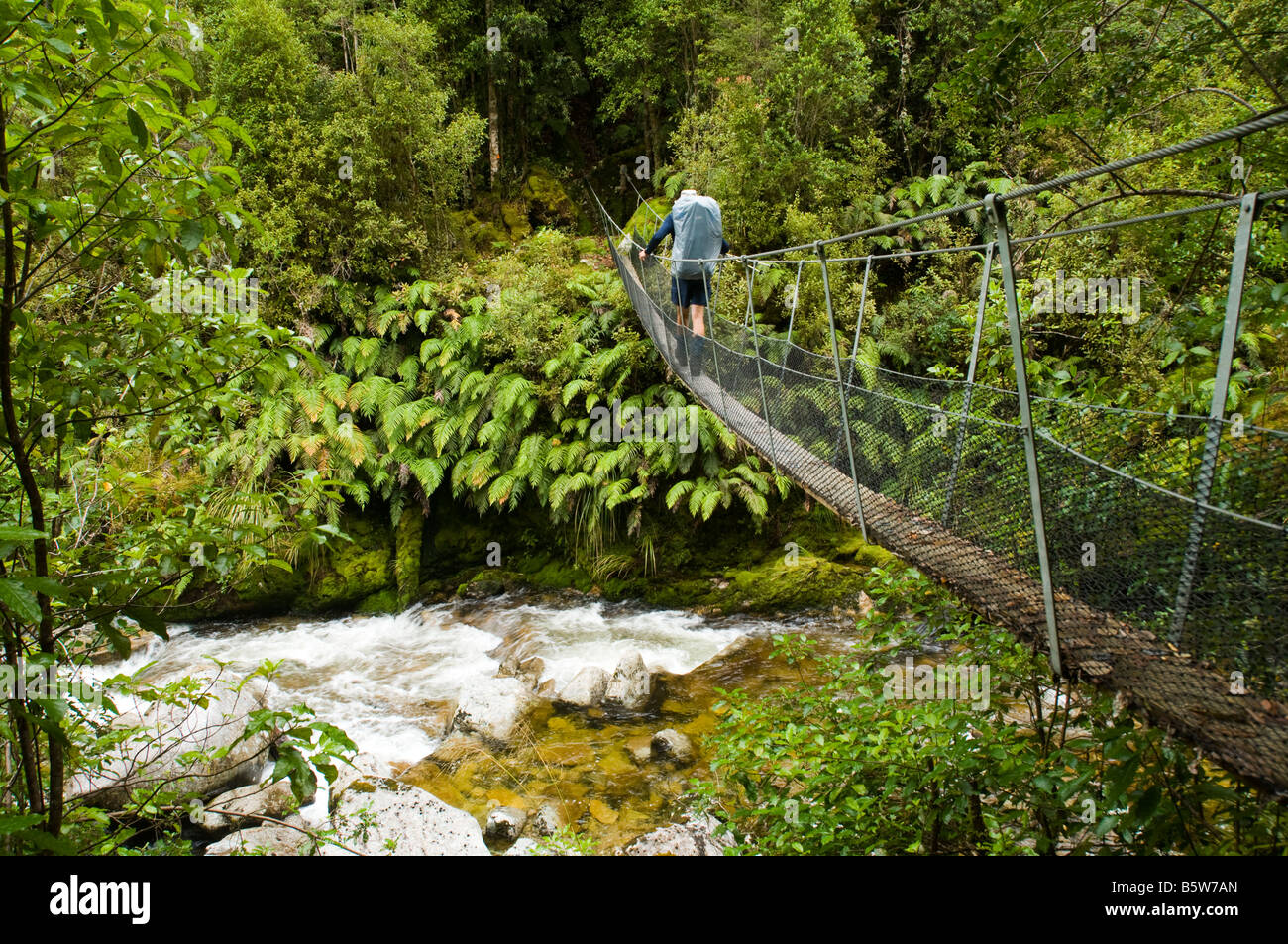 Crossing a swing suspension bridge, Wangapeka Track, South Island, New