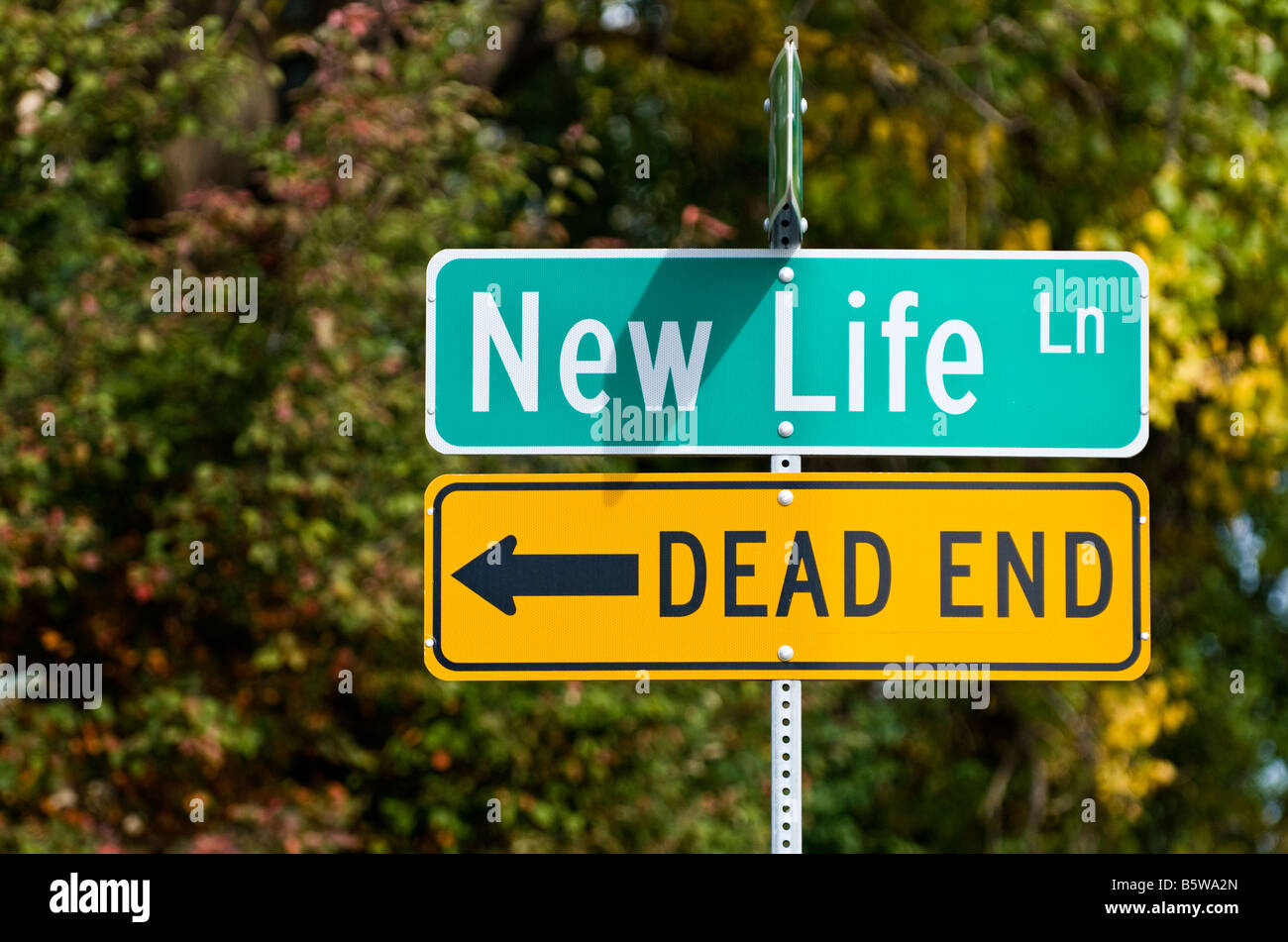 New Life street sign with Dead End sign below Stock Photo