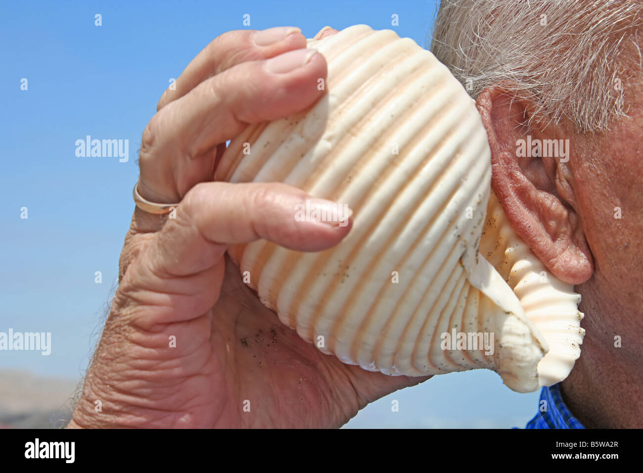Old man listening to sea shell hi-res stock photography and images - Alamy