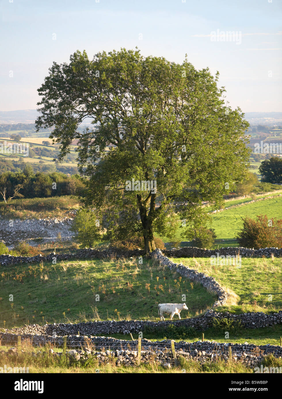 Peak District Landscape Stock Photo Alamy