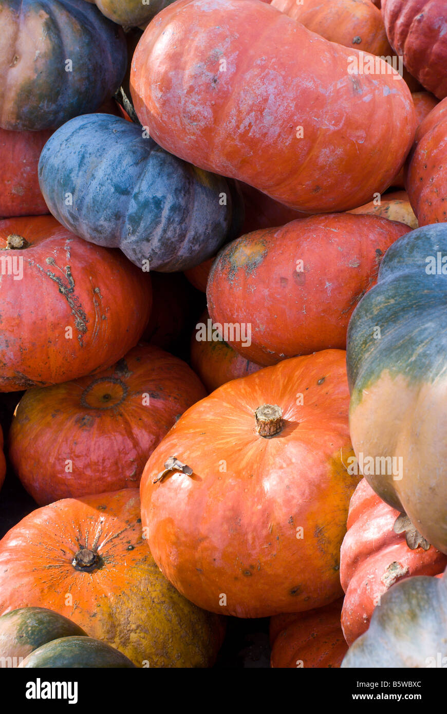 A stack of pumpkins at a roadside market Stock Photo