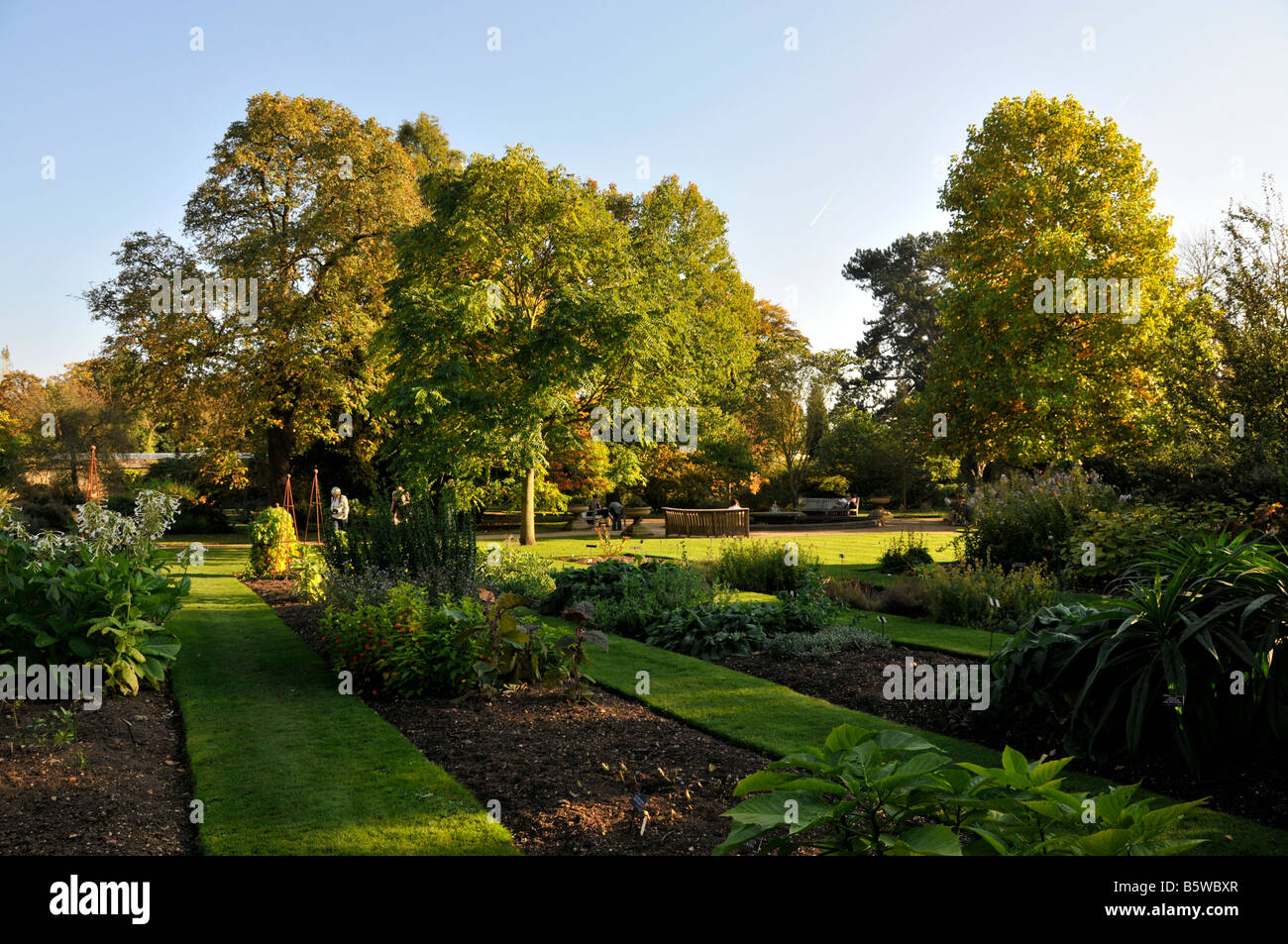 Oxford University Botanic Gardens Stock Photo