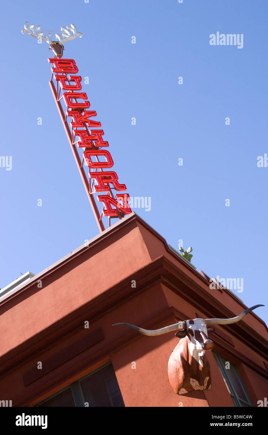 San Antonio's Buckhorn Saloon Museum, neon sign and longhorn steer Stock Photo