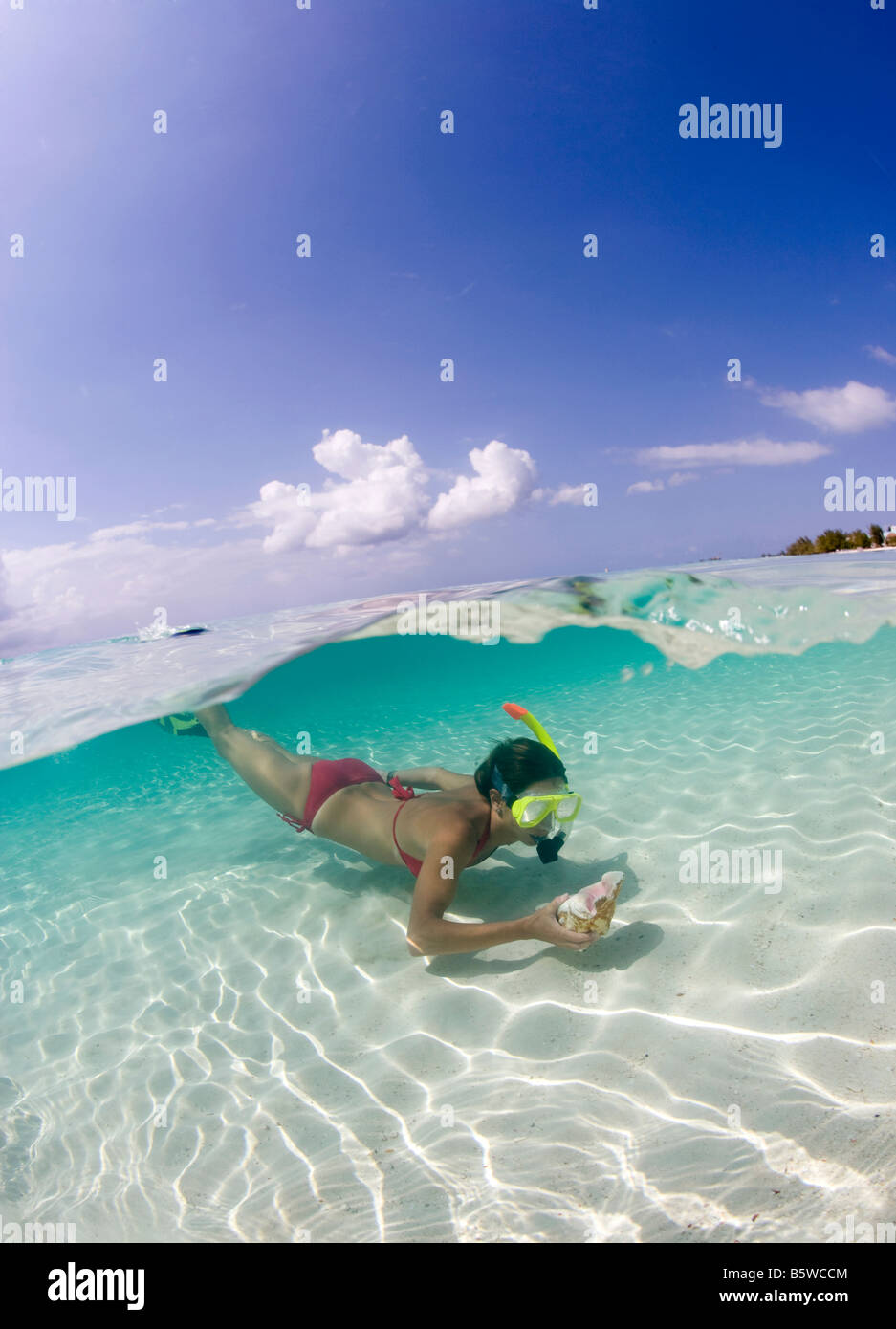Over/under of Snorkeler at Seven Mile Beach, Grand Cayman Stock Photo